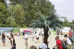 Ein Dorf beacht Volleyball